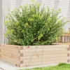 Odlingslåda 70x70x23 cm massivt furuträ
