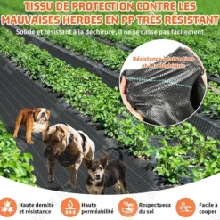 Ogräsduk - TD - 1x20m - Polypropylen - Svart - Hållbar och effektiv