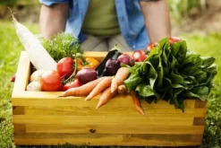 Optima Granulerad Kycklinggödsel 5l Naturligt ECO-gödselmedel Biovita