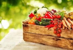 Optima Granulerad Kycklinggödsel 5l Naturligt ECO-gödselmedel Biovita