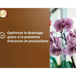 Orkidéjord - BROWN GOLD - OBRTORC6U - 6L - Främjar tillväxt