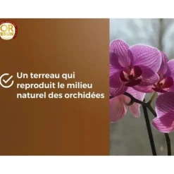 Orkidéjord - OR BRUN - OBRTORC6U - 6L - Främjar tillväxten