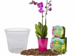 Orkidéjordset med kruka 1,1 L