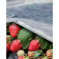 ORTOCLIMA icke-vävt tyg för trädgård och odling MT2,0X20 17GR/MQ TENAX