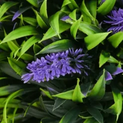 2-pack konstgjord lavendel 70 cm med kruka, UV-skydd, för hem & trädgård