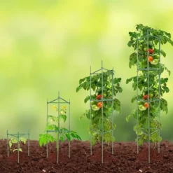 6-pack tomatburar, 48