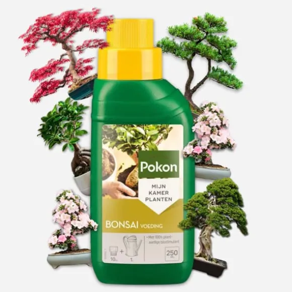 Pokon flytande växtmat - Bonsai - 250ml