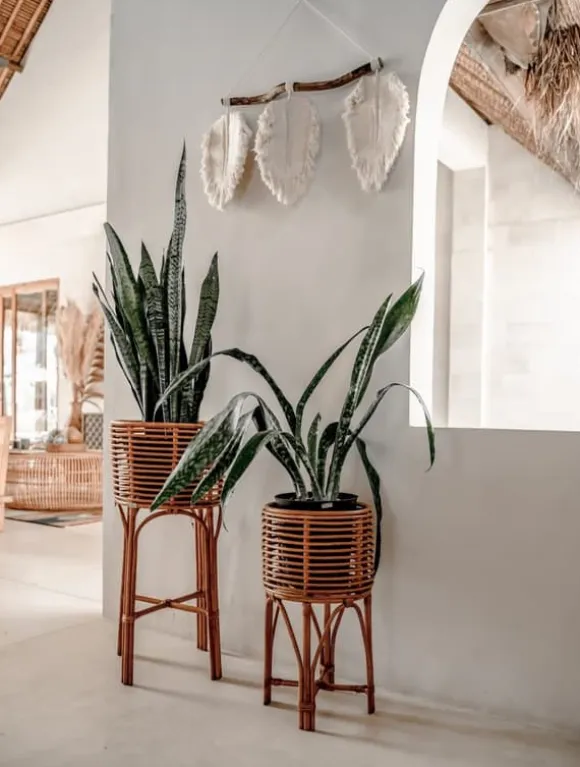 POLLIE M KARAMELL BLOMMSÄNG