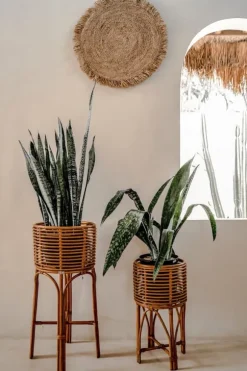 POLLIE M KARAMELL BLOMMSÄNG