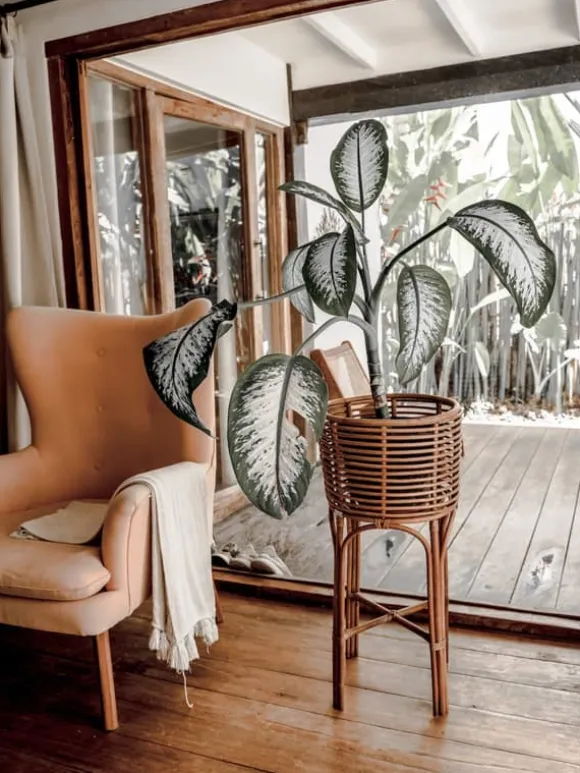 POLLIE M KARAMELL BLOMMSÄNG