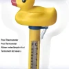 Pooltermometer Anka