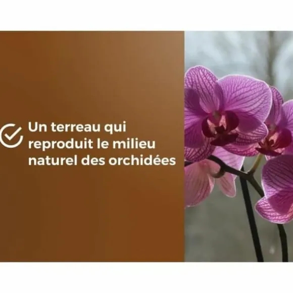 Potting compost OR BRUN 6 L