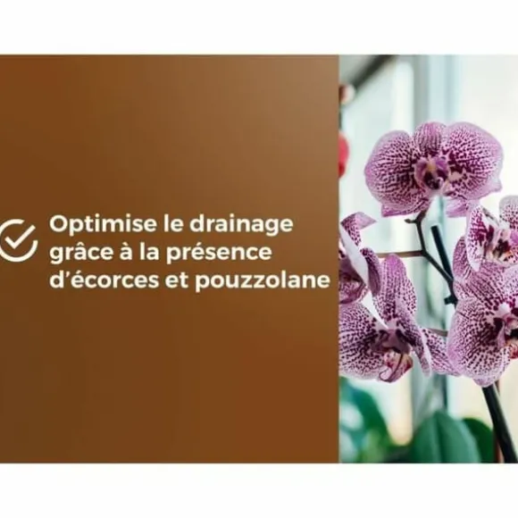 Potting compost OR BRUN 6 L