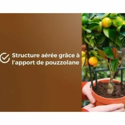 Potting compost OR BRUN 6 L Citrus