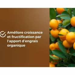 Potting compost OR BRUN 6 L Citrus