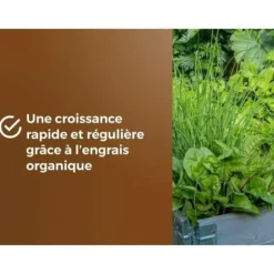 Potting compost OR BRUN 6 L