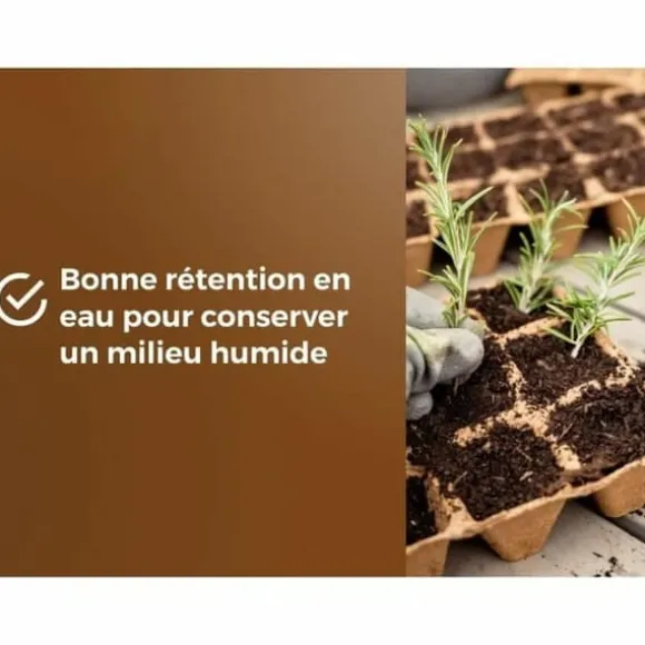 Potting compost OR BRUN 6 L