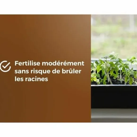 Potting compost OR BRUN 6 L