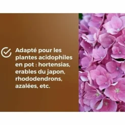 Potting compost OR BRUN 6 L