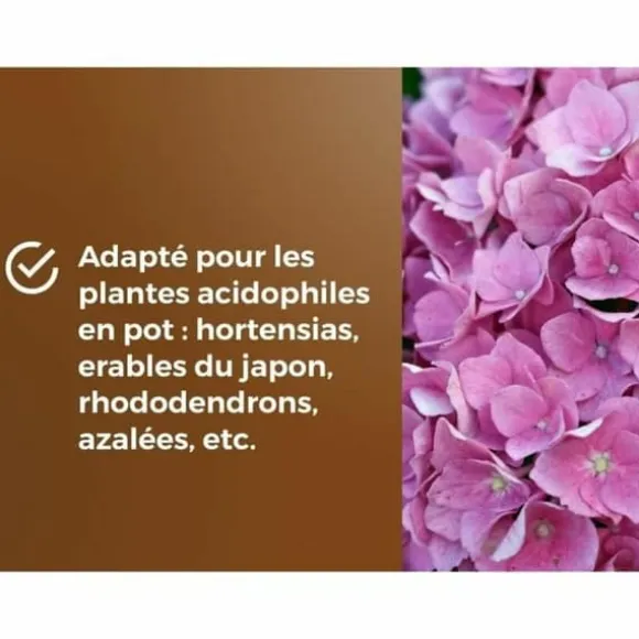 Potting compost OR BRUN 6 L