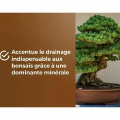 Potting compost OR BRUN BROWN GOLD 6 L