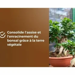 Potting compost OR BRUN BROWN GOLD 6 L