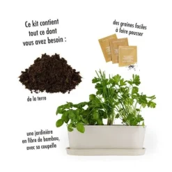 Radis et Capucine - Örtträlåda i ekologisk bambu