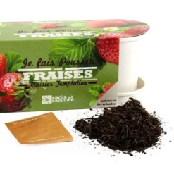 Rädisa och Nasturtium - Jordgubbsbambuplanterare