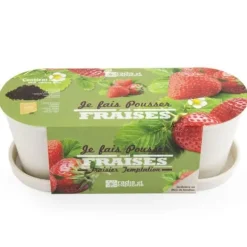 Rädisa och Nasturtium - Jordgubbsbambuplanterare