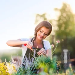 Regnmätare, 70x12,5x7 cm, Brons