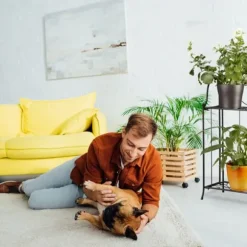 Relaxdays Blomsterhylla i metall 2 plan utomhus växtstöd balkong terrass trädgård HxBxD: 64,5 x 33,5 x 18 cm, svart