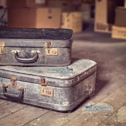 Relaxdays Mössfälla, 4-pack, tandad fångstyra, återanvändbar, hög effektivitet, metall, fälla, silverfärgad