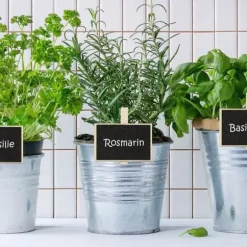 Relaxdays Pincetter för växtidentifiering, set med 20, återanvändbara, med kritor, i trä, natur/svart