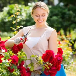 Relaxdays Rosbåge, Rosenträdgård, Klätterställning, Rund trädgårdsstöd 250x160x160 cm, grön