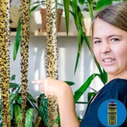 Repulseo® Flugfångarbånd [Tillverkat i EU], Inomhusflugpapper, Klistermussefälla, Alternativ till flugsmällare