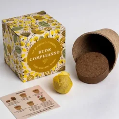 RESET, KIT FÖR SJÄLVODLING, SÄG DET MED BLUMMOR - GRATTIS PÅ FÖDELSEDAGEN, HEMMET, GÅVOSIDÉER