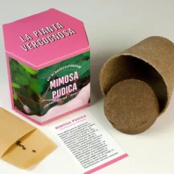RESETA, KIT FÖR AUTODRÄKTIGEN MIMOSA PUDICA, HEMMA, GÅVOSIDÉER