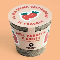 RESETA, MIN FÖRSTA JORDGUBBSODLING, HEMMA, PRESENTIDÉER