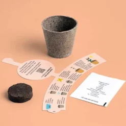 RESETA, MIN FÖRSTA JORDGUBBSODLING, HEMMA, PRESENTIDÉER