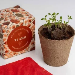 RESETEA, KIT FÖR SJÄLVODLING SÄG DET MED BLOMMOR - JAG ÄLSKAR DIG, HEM, PRESENTIDÉER