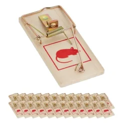 Robust musfälla i trä i set om 25 st