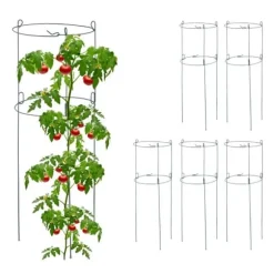 Robust runt spaljé i ett set om 6