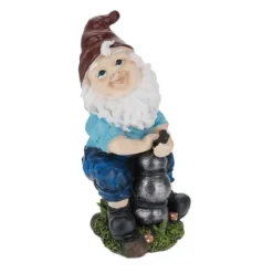 Robust trädgårdstomte med vattenpump