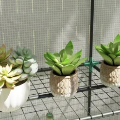 Rootz Mini -Greenhouse - Plant Shelter - Portable Greenhouse - UV Resistant - 144 x 48 x 152 cm - Perfekt för små trädgårdar