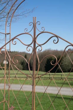 Rose Arch with Fence - Climbing Plant Support - järnhållbarhet, trädgårdsdekorationsport