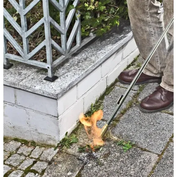 Rothenberger Industrial 30966 Ogräsbrännare