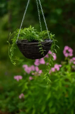 Set med 5 hängande blomkorgar “EKO 195-110”