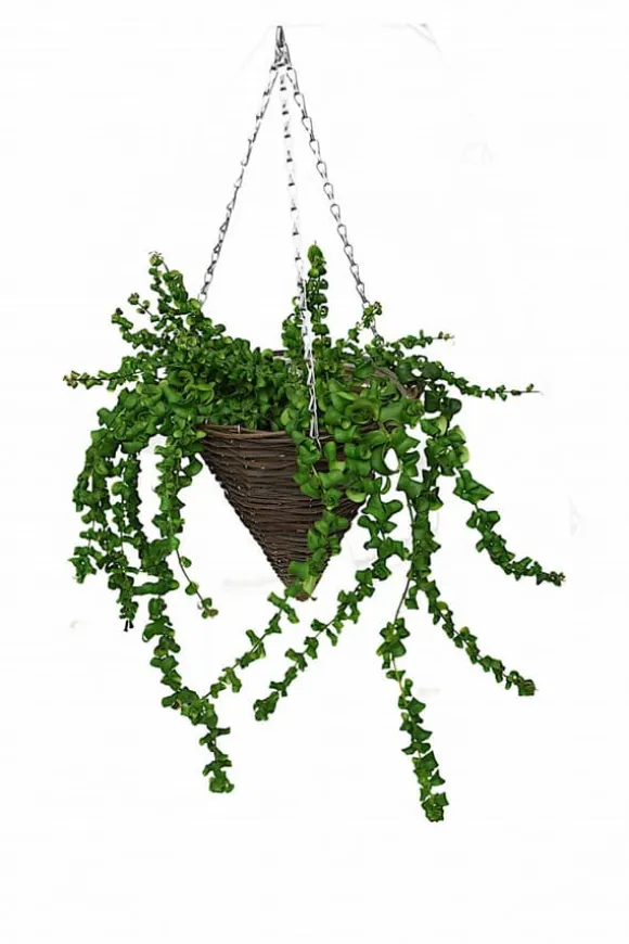 Set med 5 hängande blomkorgar “EKO 23A1203N”