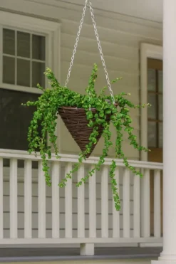 Set med 5 hängande blomkorgar “EKO 23A1203N”