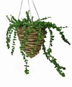 Set med 5 hängande blomkorgar “EKO 091098-X”